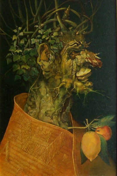 Learning from Arcimboldo. Winter