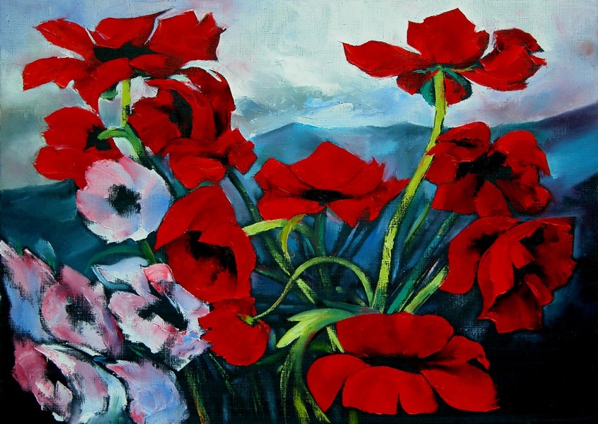 Wild poppies
