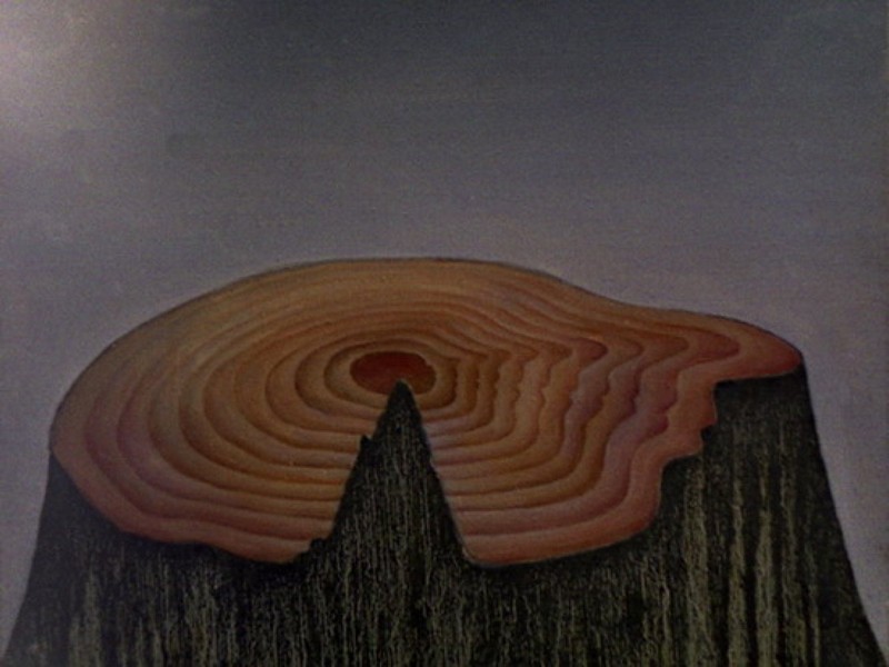 Cut tree