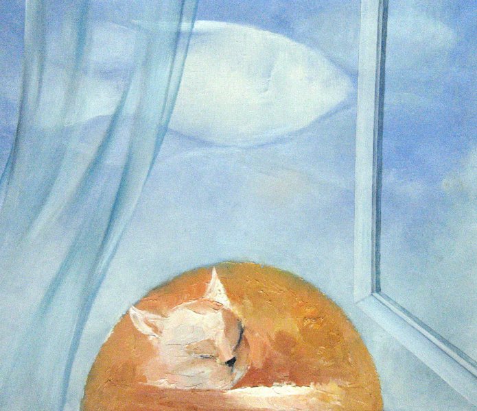 Cats dreams