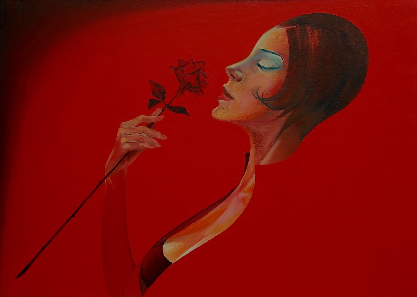 Crimson-red rose