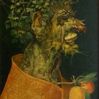 Learning from Arcimboldo. Winter