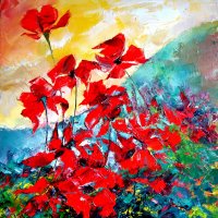Wild poppies