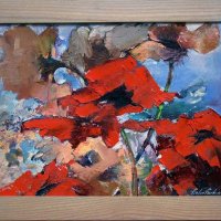 Wild poppies