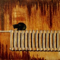 Cat on radiator