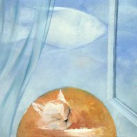 Cats dreams